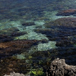BAIA DEL CORALLO. Fotografie di Giulio Azzarello &copy;2022.