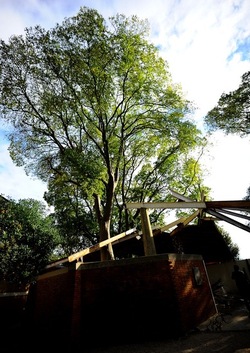 BIENNALE di VENEZIA 2017 i giardini. Fotografie di Giulio Azzarello ©2018. BIENNALE di VENEZIA 2017 i giardini. Fotografie di Giulio Azzarello ©2018.