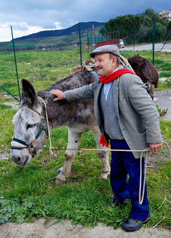 TIPICO FRANTOIO fotografie di Giulio Azzarello ©2014. TIPICO FRANTOIO fotografie di Giulio Azzarello ©2014.