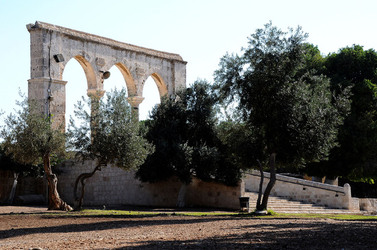 LA CITTA SANTA DI GERUSALEMME fotografie di Giulio Azzarello ©2104. LA CITTA SANTA DI GERUSALEMME fotografie di Giulio Azzarello ©2104.