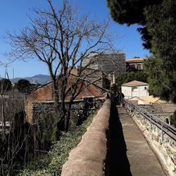 Arabo Normanno. Fotografie di Giulio Azzarello ©2024. Arabo Normanno. Fotografie di Giulio Azzarello ©2024.