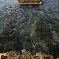 MONDELLO. Fotografie di Giulio Azzarello &copy;2022.