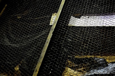 PADIGLIONE AFRICANO Biennale di Venezia. Fotografie di Giulio Azzarello &copy;2020.