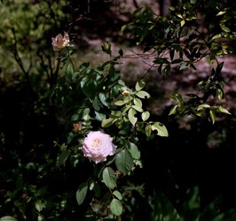 DIGITALIZZAZIONI fotografie di Giulio Azzarello &copy;2020.