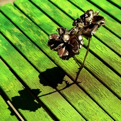 METALLICO. Fotografia di Giulio Azzarello &copy;2023.