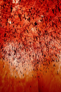 BIENNALE di VENEZIA padiglione giapponese. Foto di Giulio Azzarello &copy;2015 2016. Opera di Chiharu Shiota The KEY in the HAND .