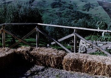 DIGITALIZZAZIONI fotografie di Giulio Azzarello &copy;2020.