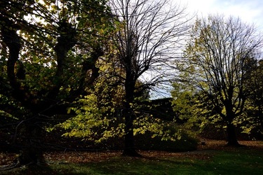 FIRENZE PALAZZO PITTI e GIARDINO DI BOBOLI. Fotografie di Giulio Azzarello &copy;2022.