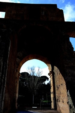 COLOSSEO Roma. Fotografie di Giulio Azzarello ©2020. COLOSSEO Roma. Fotografie di Giulio Azzarello ©2020.