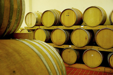 BOTTI per il vino. Fotografie di Giulio Azzarello ©2016. BOTTI per il vino. Fotografie di Giulio Azzarello ©2016.