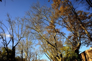 VENEZIA Giardini della Biennale di Arch. Cont.. Fotografie di Giulio Azzarello ©2022.