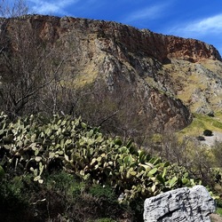 RISERVA NATURALE. Fotografie di Giulio Azzarello &copy;2022.