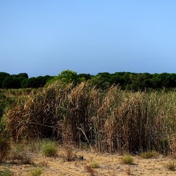 SELINUNTE. Fotografie di Giulio Azzarello ©2022. SELINUNTE. Fotografie di Giulio Azzarello ©2022.