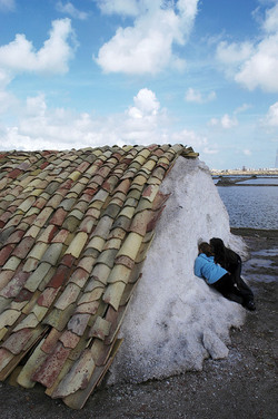 WWF Sicilia le Saline di Trapani. Fotografie di Giulio Azzarello &copy;2014.