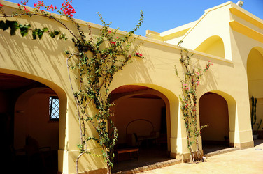 TENUTA vitivinicola in Sicilia. Fotografie di Giulio Azzarello ©2016. TENUTA vitivinicola in Sicilia. Fotografie di Giulio Azzarello ©2016.