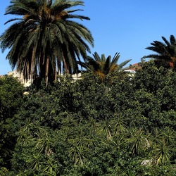 Arabo Normanno. Fotografie di Giulio Azzarello ©2024. Arabo Normanno. Fotografie di Giulio Azzarello ©2024.