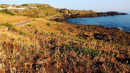 ISOLA DI USTICA la costa. Fotografie di Giulio Azzarello &copy;2016.