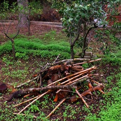 AUTUNNO fotografie di Giulio Azzarello ©2021. AUTUNNO fotografie di Giulio Azzarello ©2021.