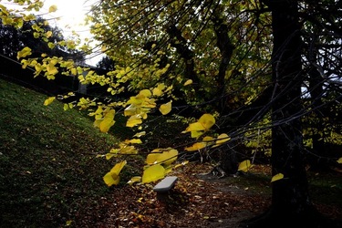 FIRENZE PALAZZO PITTI e GIARDINO DI BOBOLI. Fotografie di Giulio Azzarello &copy;2022.