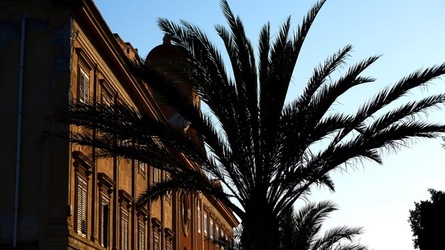 BARCHE. Fotografie di Giulio Azzarello ©2022. BARCHE. Fotografie di Giulio Azzarello ©2022.