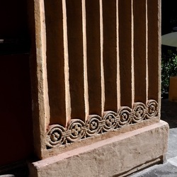 ORTO BOTANICO di PALERMO. Fotografie di Giulio Azzarello ©2019.