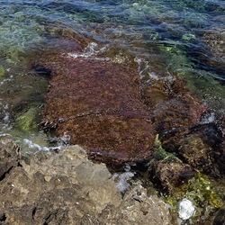 BAIA DEL CORALLO. Fotografie di Giulio Azzarello &copy;2022.