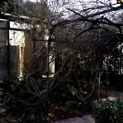 INVERNO. Fotografie di Giulio Azzarello &copy;2023.