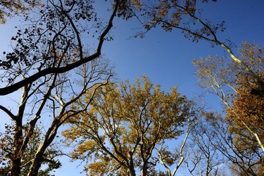 VENEZIA Giardini della Biennale di Arch. Cont.. Fotografie di Giulio Azzarello ©2022.
