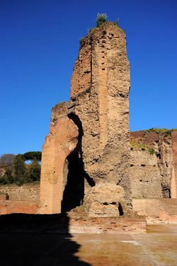 LE TERME DI CARACALLA a Roma visioni panoramiche o particolari. Fotografie di Giulio Azzarello &copy;2014.