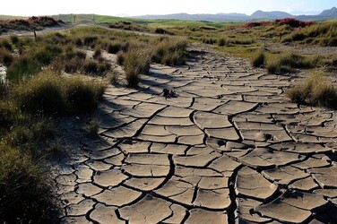 LE MACALUBE di Sicilia. Fotografie di Giulio Azzarello ©2014. LE MACALUBE di Sicilia. Fotografie di Giulio Azzarello ©2014.