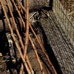 GIARDINO SICILIANO. Fotografie di Giulio Azzarello ©2022. GIARDINO SICILIANO. Fotografie di Giulio Azzarello ©2022.