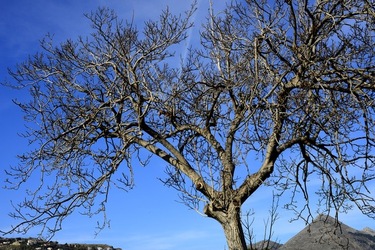 CAMPAGNA fotografie di Giulio Azzarello ©2020.