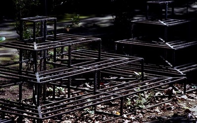 ORTO BOTANICO di Palermo. Fotografie di Giulio Azzarello ©2021.