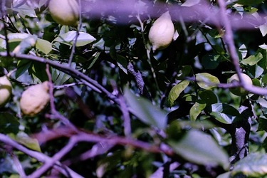 DIGITALIZZAZIONI fotografie di Giulio Azzarello &copy;2020.