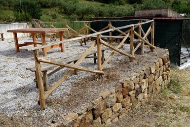 ULIVETO SICILIANO. Fotografie di Giulio Azzarello ©2022.