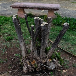 TRONCHI. Fotografie di Giulio Azzarello ©2022.