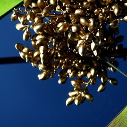 SPECCHIATI. Fotografia di Giulio Azzarello ©2023. SPECCHIATI. Fotografia di Giulio Azzarello ©2023.