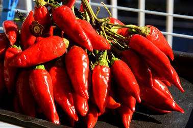 PEPERONCINO fotografie di Giulio Azzarello ©2014. PEPERONCINO fotografie di Giulio Azzarello ©2014.