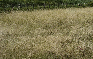 ARTE CONTEMPORANEA A PIRGI sito e riserva archeologica. Fotografie di Giulio Azzarello &copy;2014.