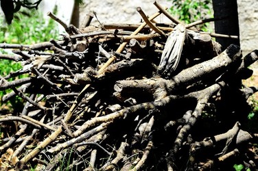 HABITAT NATURA in campagna. Fotografie di Giulio Azzarello ©2015 2016. HABITAT NATURA in campagna. Fotografie di Giulio Azzarello ©2015 2016.