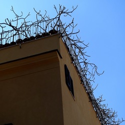 PALERMO. Fotografie di Giulio Azzarello &copy;2023.