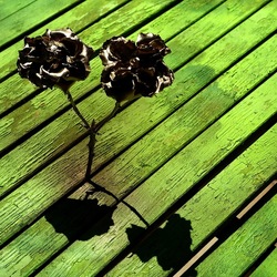 METALLICO. Fotografia di Giulio Azzarello &copy;2023.