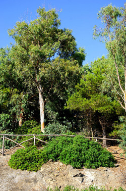 ISOLA DI USTICA il paese. Fotografie di Giulio Azzarello ©2016. ISOLA DI USTICA il paese. Fotografie di Giulio Azzarello ©2016.