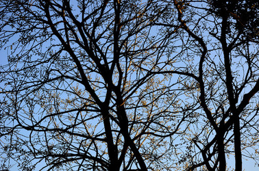 GOLE DELL ALCANTARA in Sicilia. Fotografie di Giulio Azzarello &copy;2016.