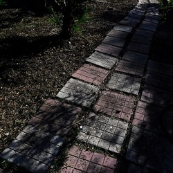 OMBRE di agosto. Fotografie di Giulio Azzarello &copy;2018.