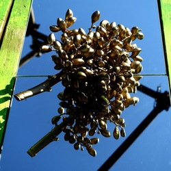 SPECCHIATI. Fotografia di Giulio Azzarello ©2023. SPECCHIATI. Fotografia di Giulio Azzarello ©2023.