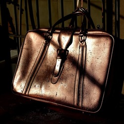 NATURE MORTE. Fotografie di Giulio Azzarello ©2024. NATURE MORTE. Fotografie di Giulio Azzarello ©2024.