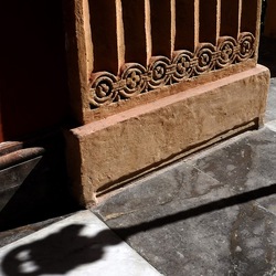 ORTO BOTANICO di PALERMO. Fotografie di Giulio Azzarello ©2019.