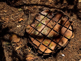 GIARDINO fotografie di Giulio Azzarello ©2019. GIARDINO fotografie di Giulio Azzarello ©2019.