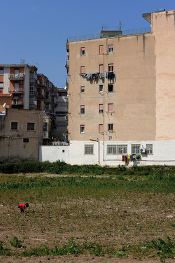 PALERMO il suo centro storico le periferie i monumenti. Fotografie di Giulio Azzarello ©2014.